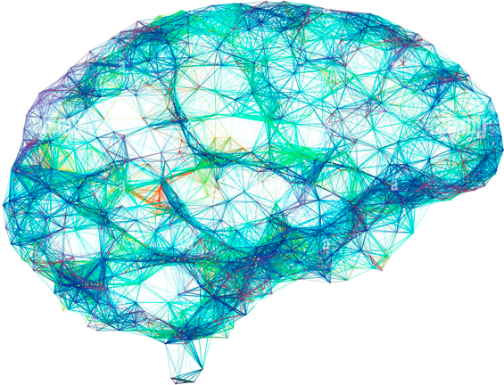 Modélisation par un ordinateur d'un réseaux de neurones multicolores à la forme de cerveau avec des connexions géométriques